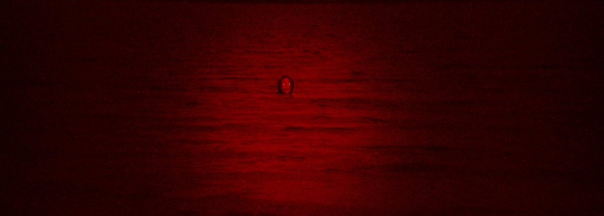 contatoscifi's tweet image. A fotografia de "28 Years Later" sendo ignorada pelo Oscar poderia ser considerado algo criminoso