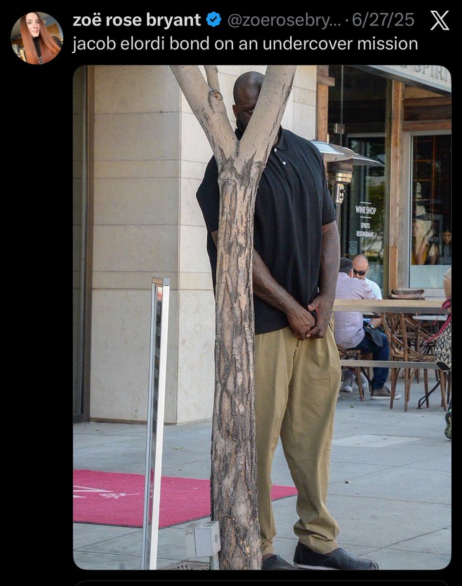 zoerosebryant's tweet image. 