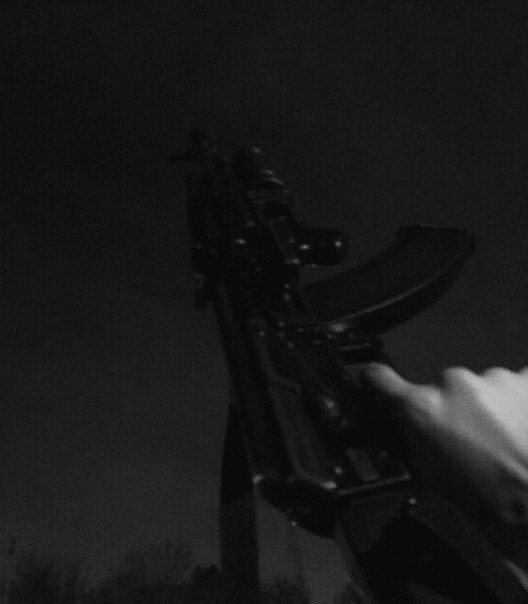 𝙉𝙞𝙛 (@stparabellum) on Twitter photo 