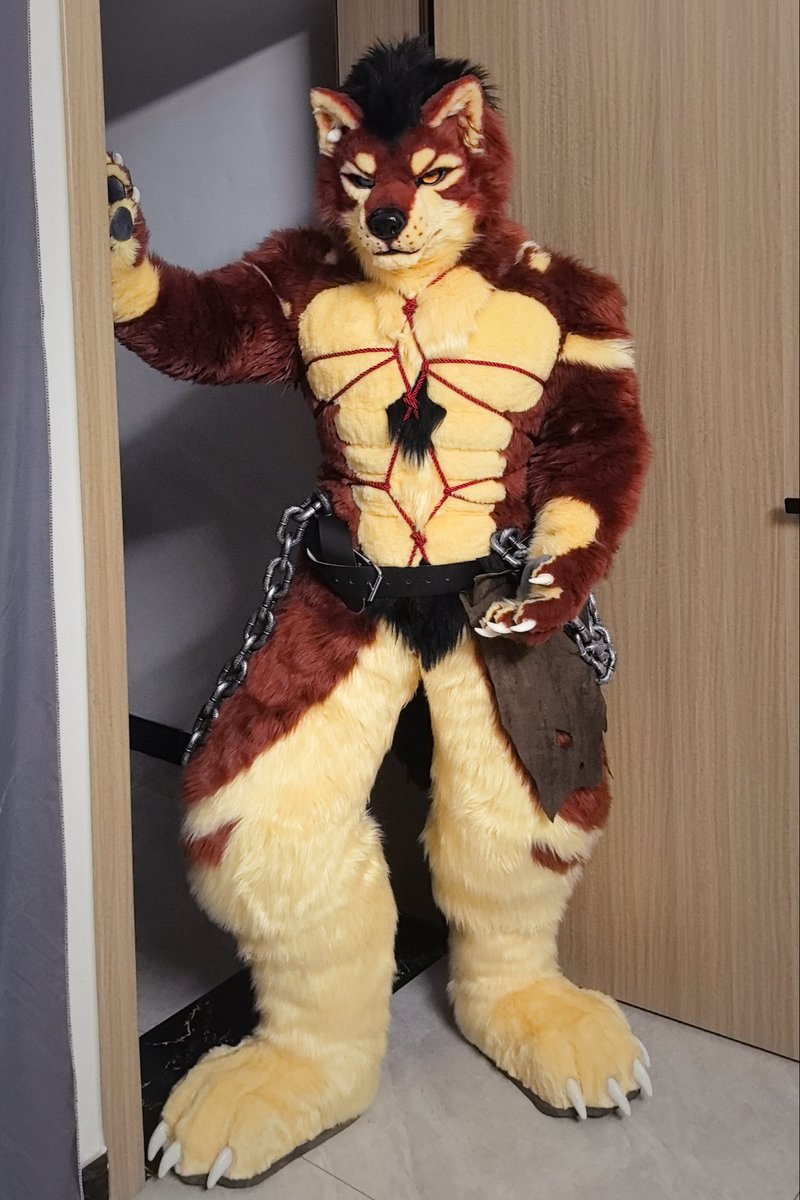 RedWolfSiche's tweet photo. 狼的隐藏穿搭
#furry  #fursuit #FursuitFriday https://t.co/ij7NpL8agX