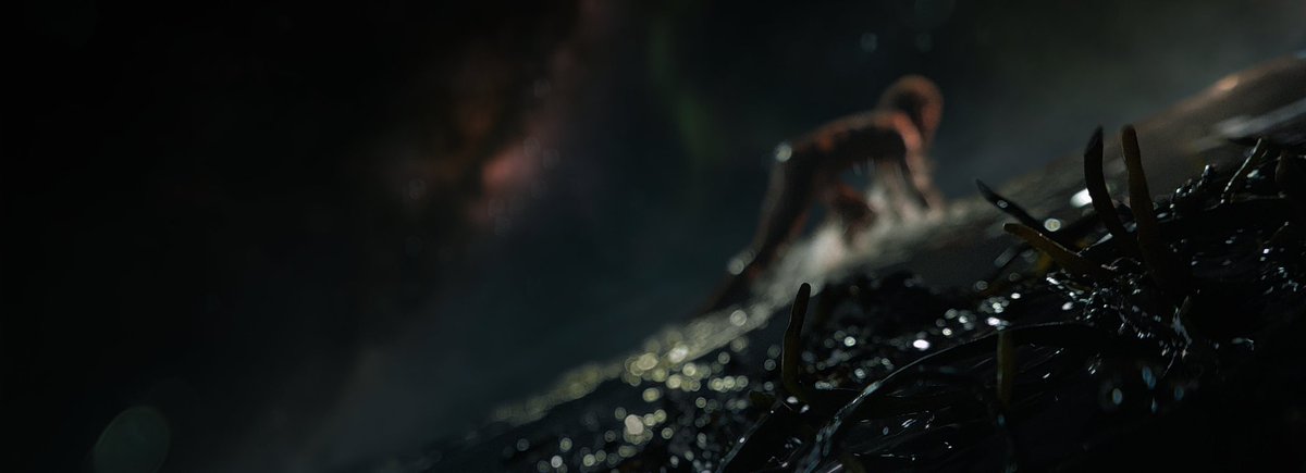 contatoscifi's tweet image. A fotografia de "28 Years Later" sendo ignorada pelo Oscar poderia ser considerado algo criminoso