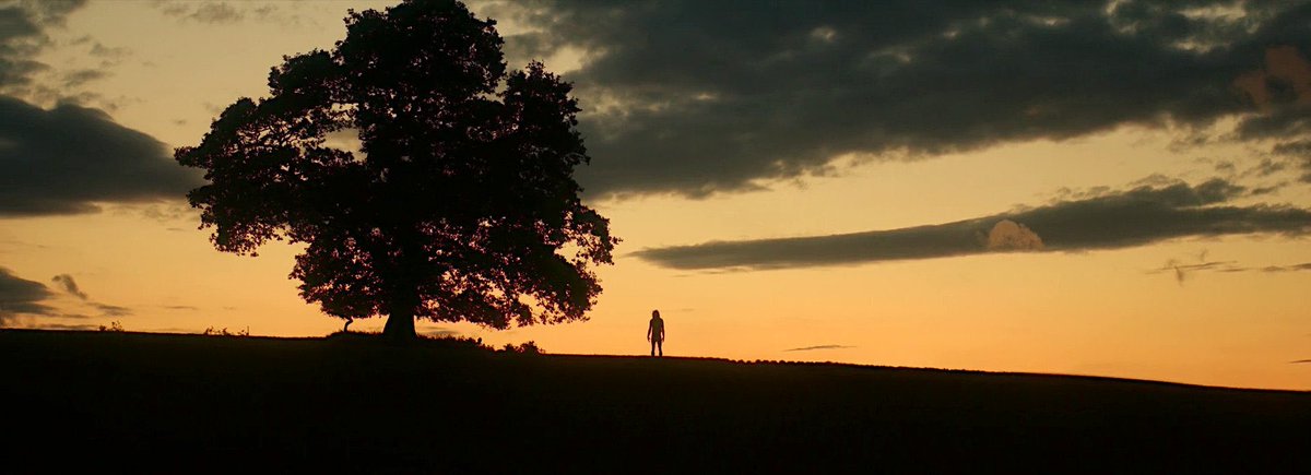 contatoscifi's tweet image. A fotografia de "28 Years Later" sendo ignorada pelo Oscar poderia ser considerado algo criminoso