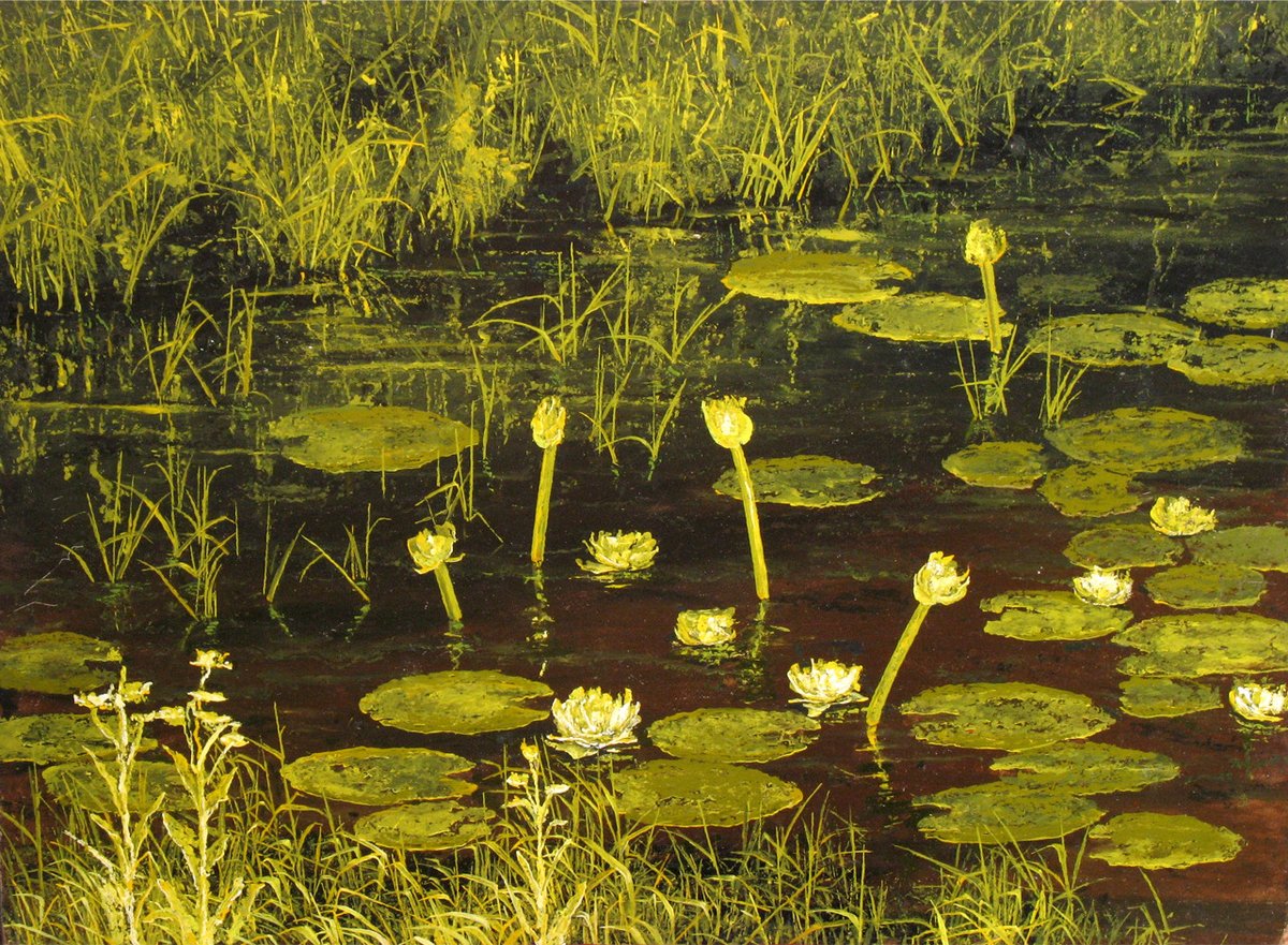 leftrightpub's tweet image. Water Lilies      -      Seppo Similä, 1984.