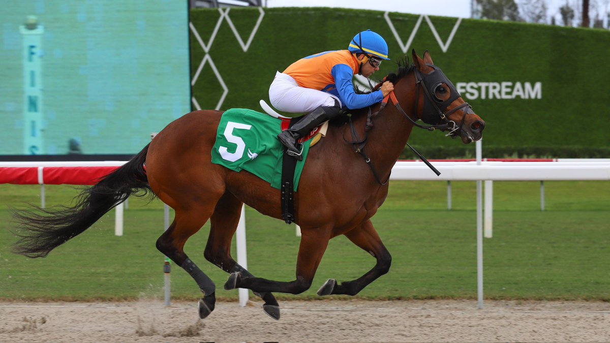 Gulfstream Park tweet media