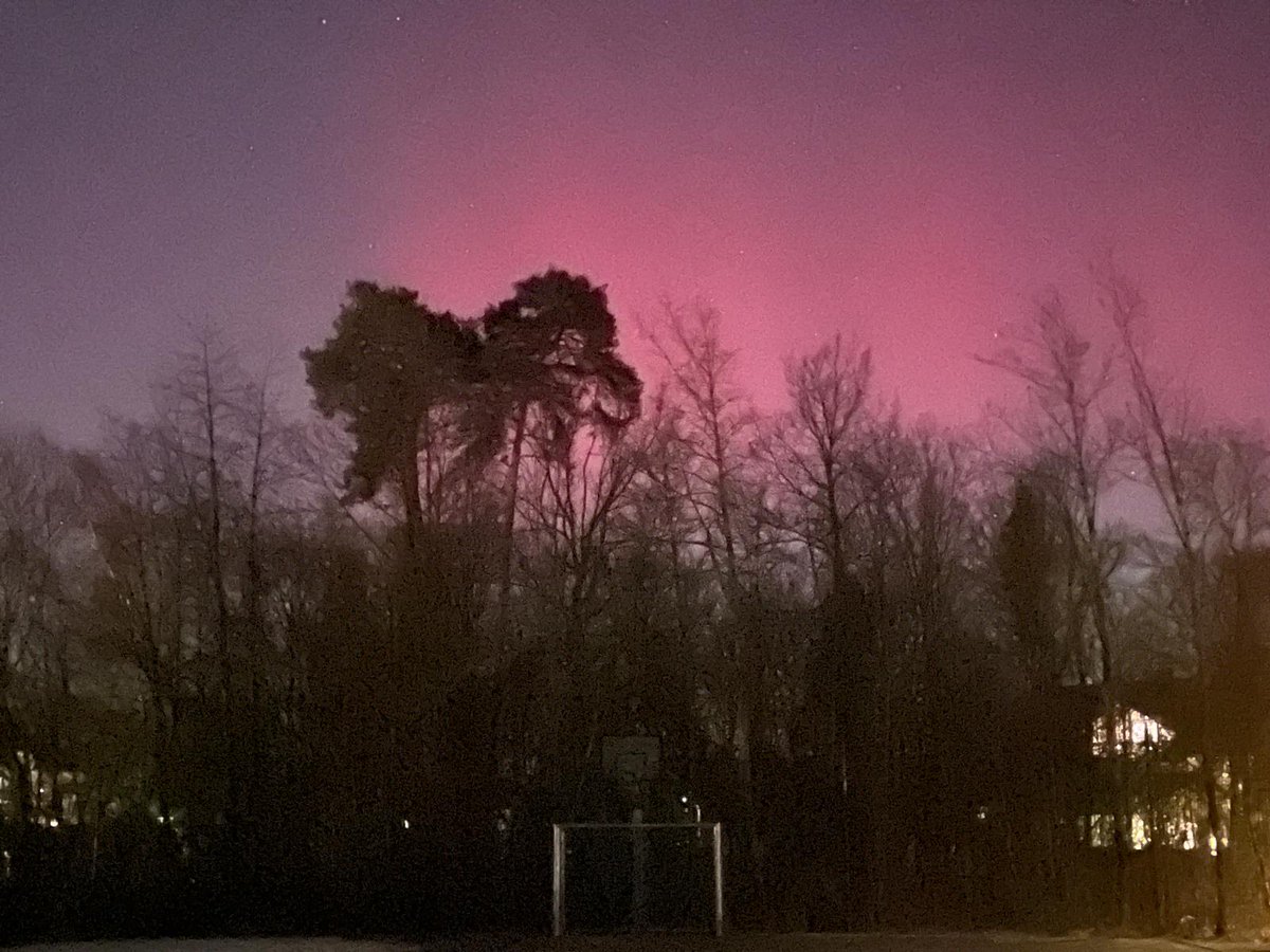 LudwigRies tweet media