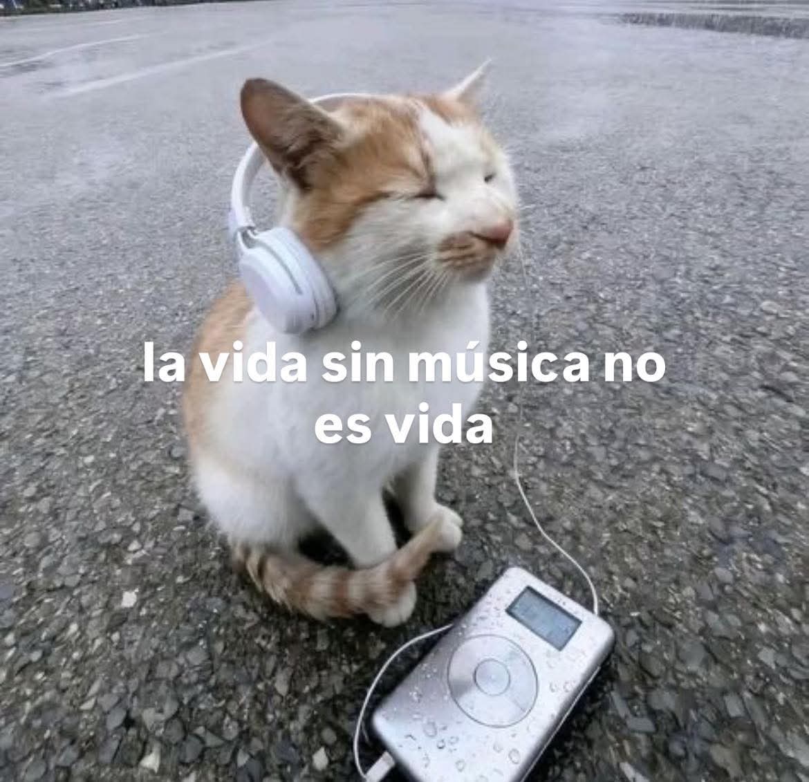 En Júpiter tweet media