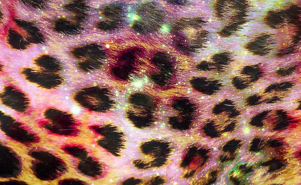 divinniee's tweet image. ✧ㅤּㅤbusco mutis !!ㅤ ㅤ .

ㅤ ﹙#kpoptwt #staytwt #stantwt ﹚ ^᪲
ㅤ  ㅤ  
˒   16 | 🇨🇱 | she
˒  skz &amp;amp; ariana grande (en realidad escucho de todo)
˒   i.n biased
˒  busco para interactuar y hacernos amiguitos
˒  no es mi primera vez en twt
ㅤ 
ㅤ 𖹭 + ↺ = mutis!! 𑣲
ㅤ