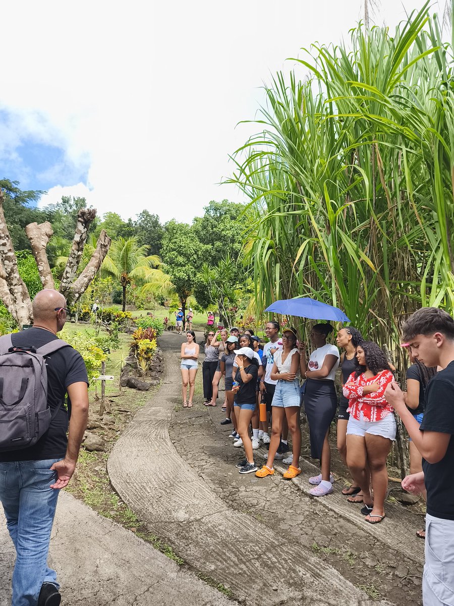 Ellacuria-Zurbaran BHI tweet media