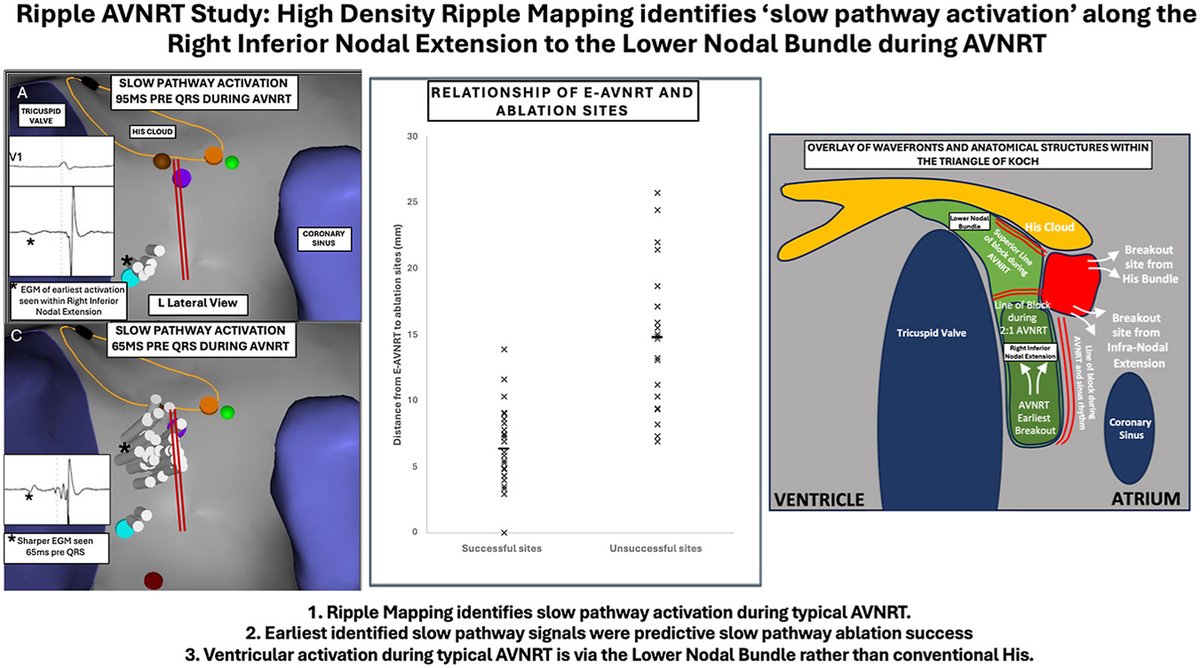 CE ヨシハラ (@shyu725) / Posts / X