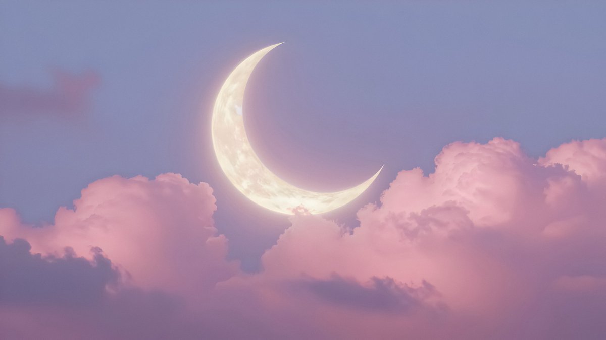 studio ghibli (@gardenofghibli) on Twitter photo 