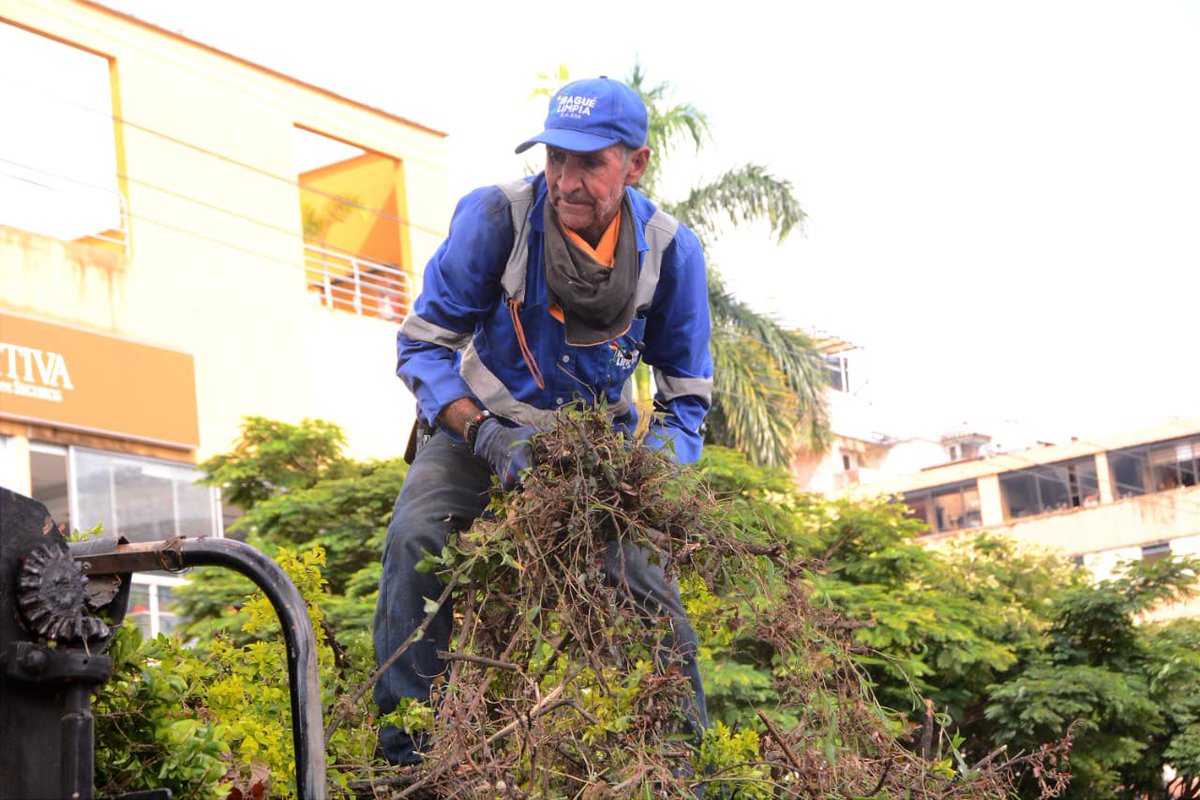 🪏 Nuestros Soldaditos Azules continúan con la recuperación total del separador de la Quinta. Retirando el material vegetal en mal estado con el objetivo de mejorar las condiciones paisajísticas, la visibilidad del entorno y el adecuado estado de las zonas verdes. 🌿