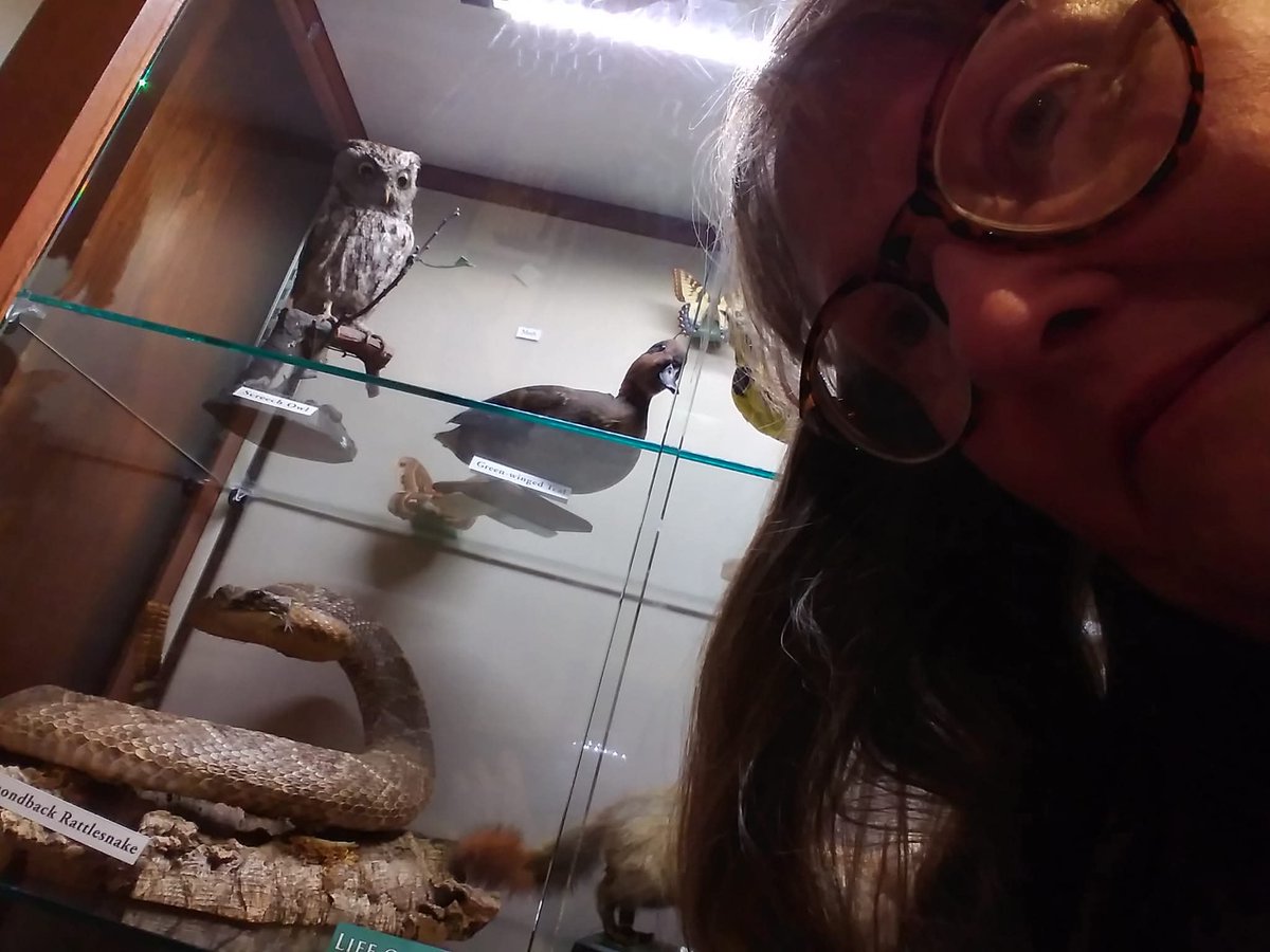 Elgin Public Museum tweet media