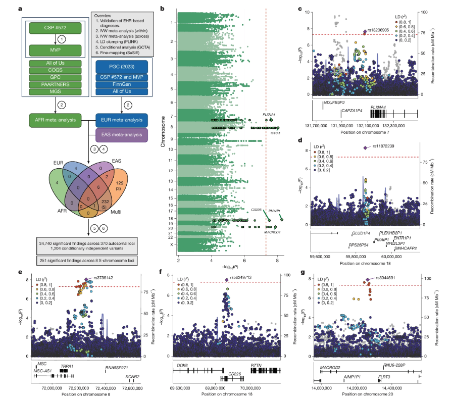 POP-GEM Lab tweet media