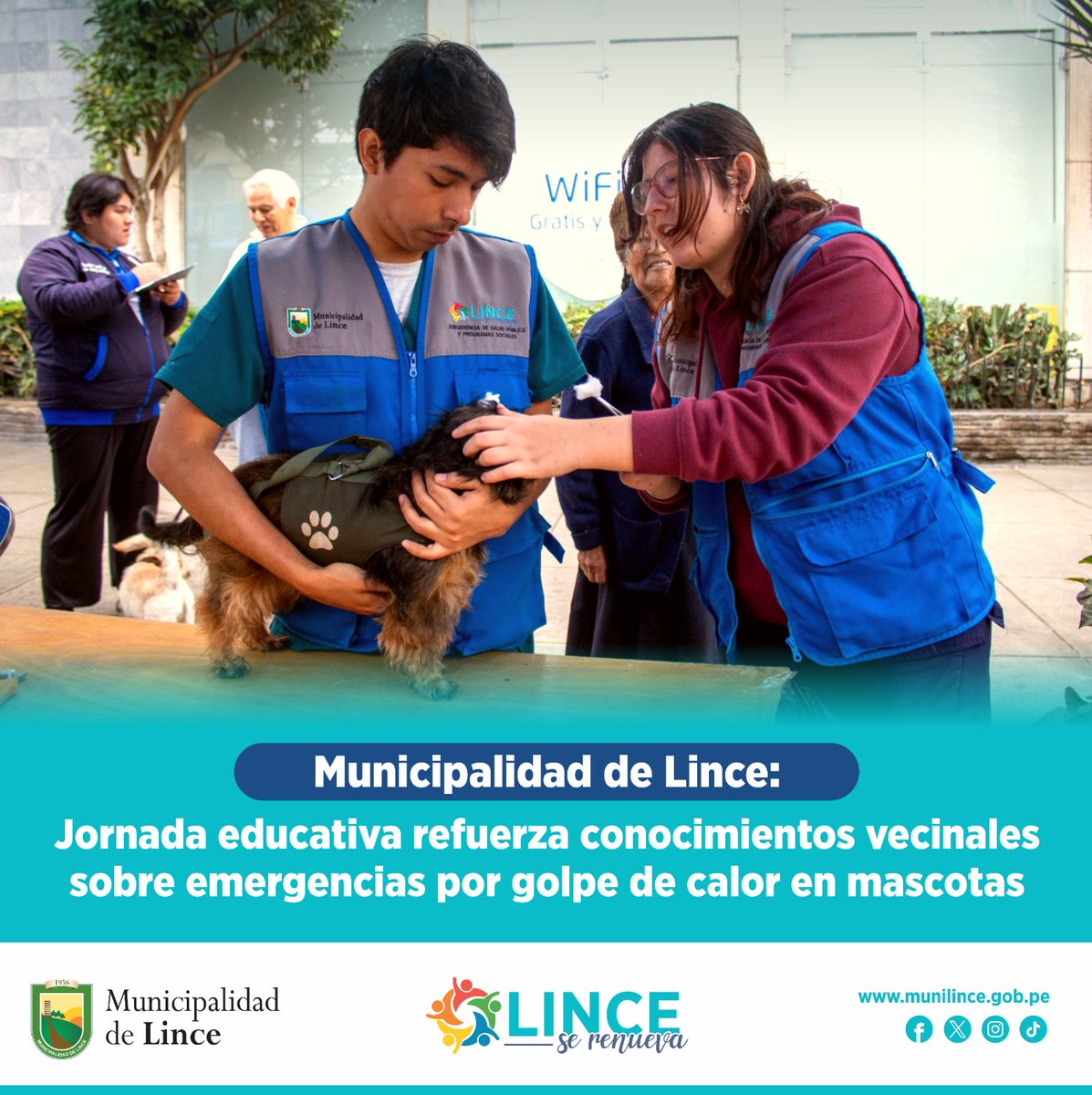 Ante las altas temperaturas, el #Golpedecalor se convierte en un riesgo serio para nuestras mascotas.
Representante del #ConsultorioVeterinarioMunicipal, comparte con la comunidad importantes recomendaciones.
Np: bit.ly/4qSwhJP