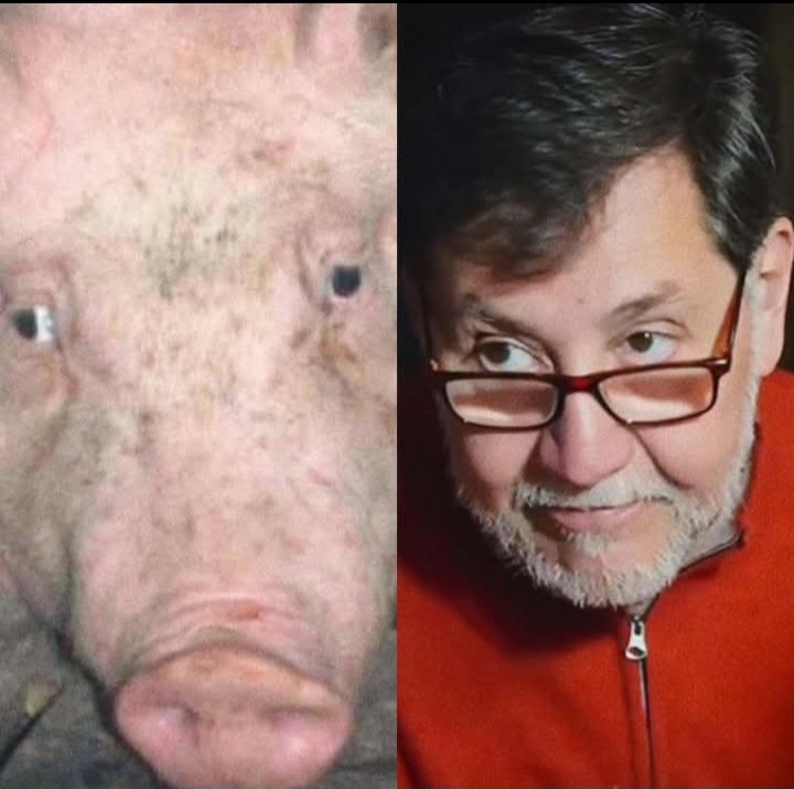 Encuentra las diferencias.