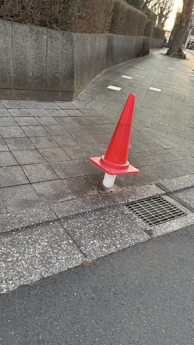 manasuky's tweet photo. 帰宅途中で
グンソクを見かけた😂😂😂

#チャングンソク
#うなぎあるある https://t.co/mYi5YHaG1F