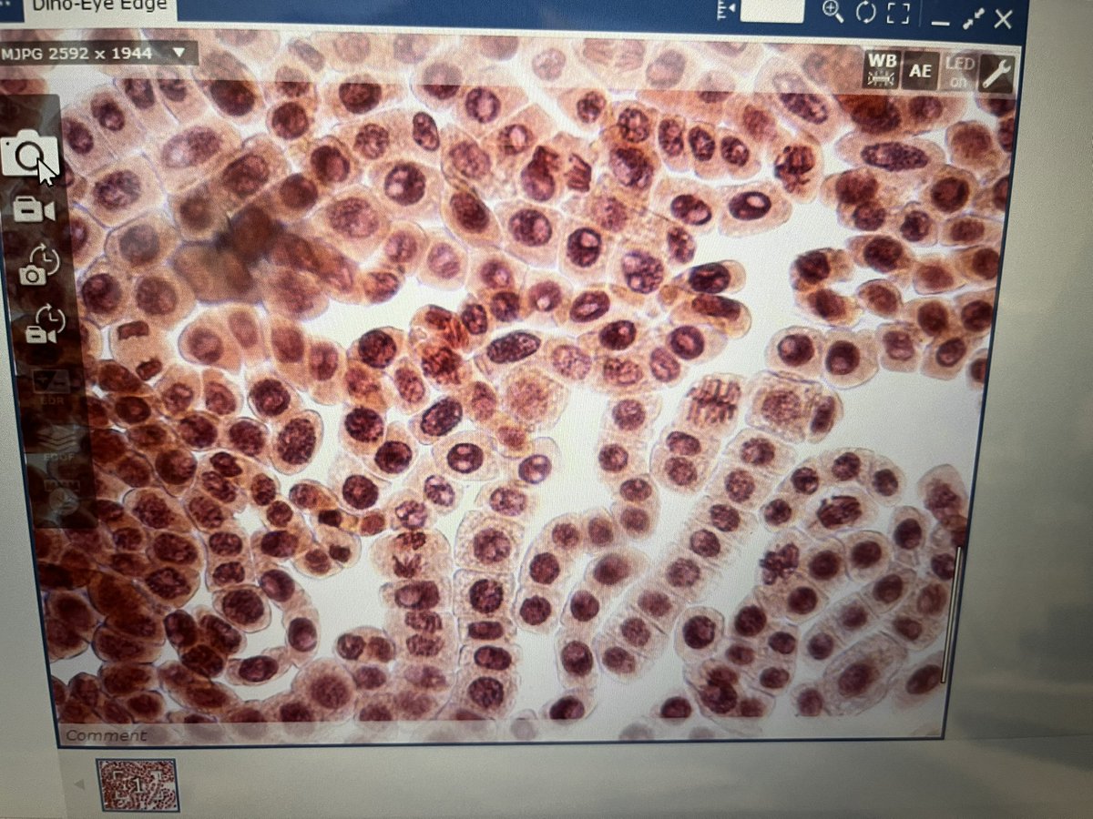 Jon Hale tweet media