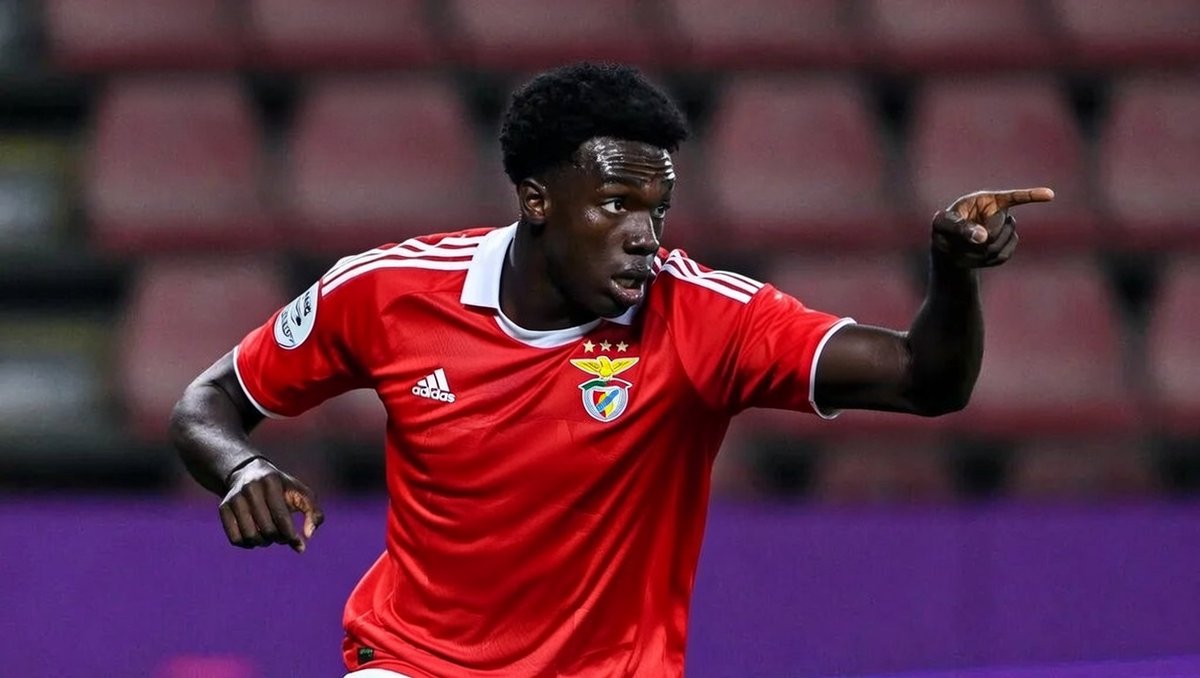 Dr. Notável 𝕏 - Transfer Expert tweet media