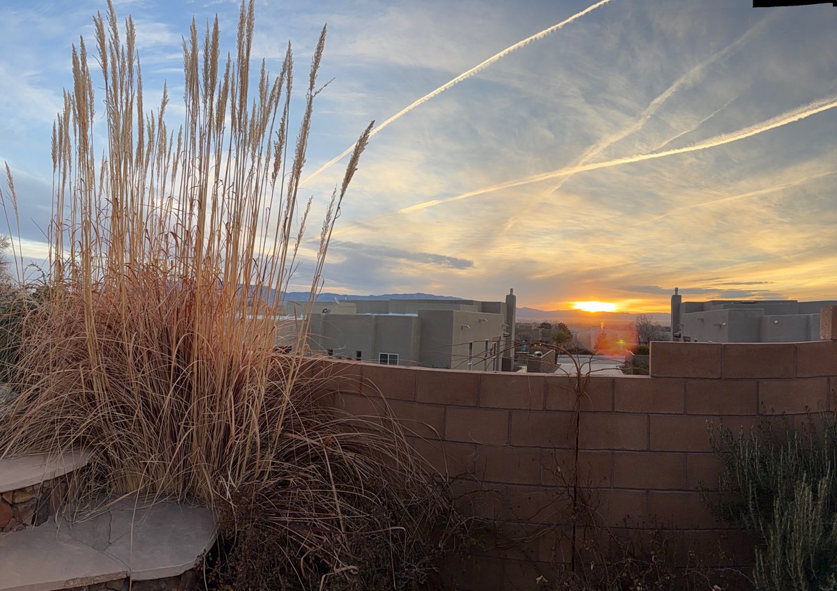 Jonathan Price tweet media