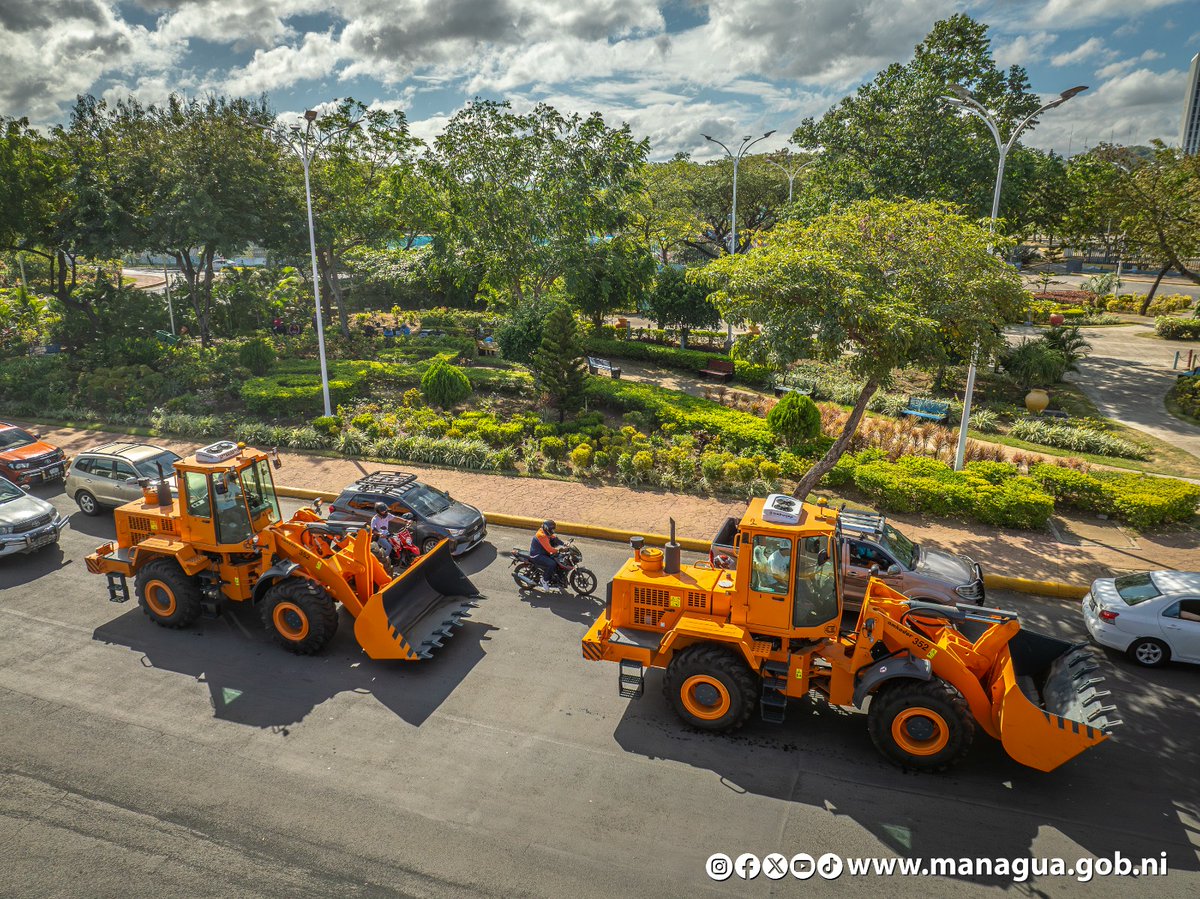 Paula Torrez tweet media