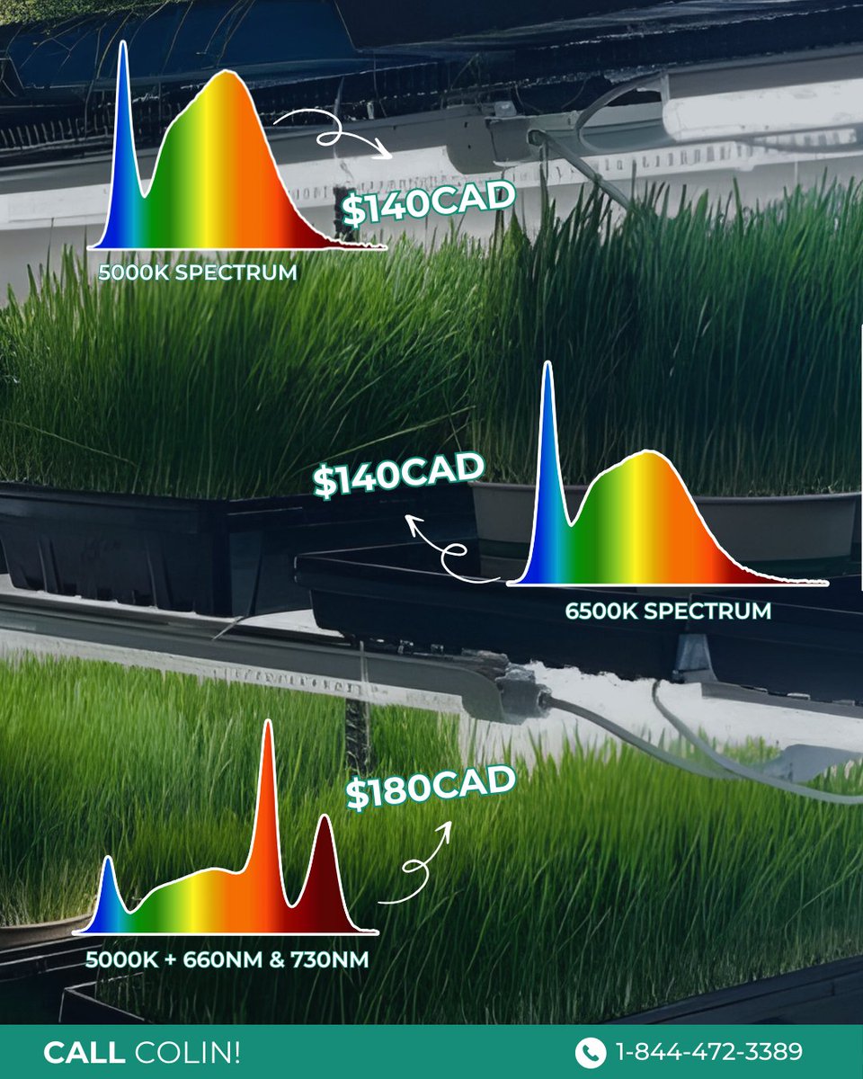 Aelius LED tweet media