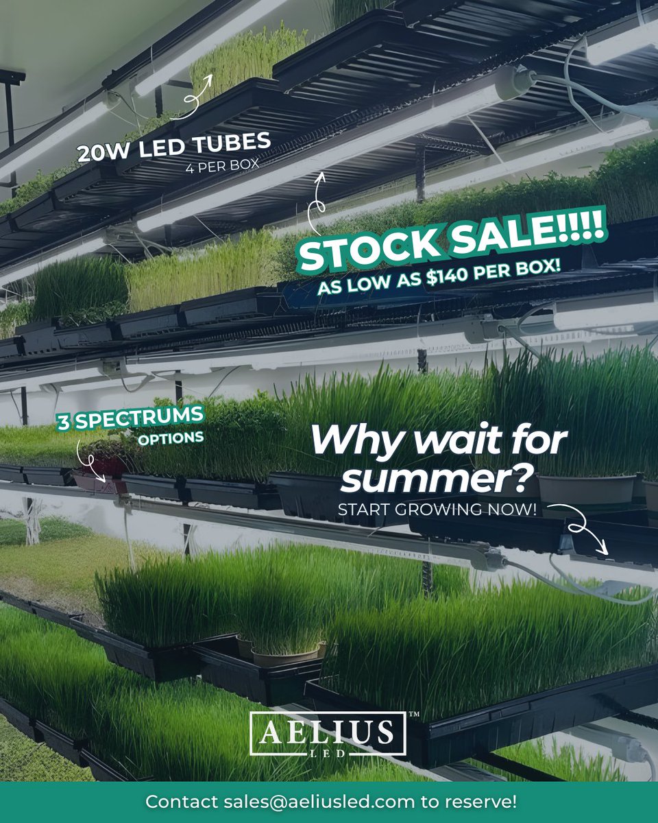 Aelius LED tweet media