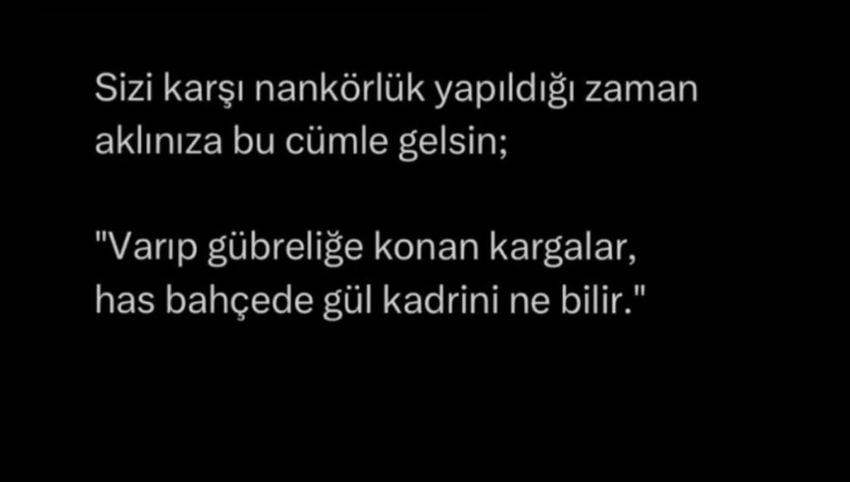 HacerTavuz's tweet photo. https://t.co/xYEQoVNH7Y