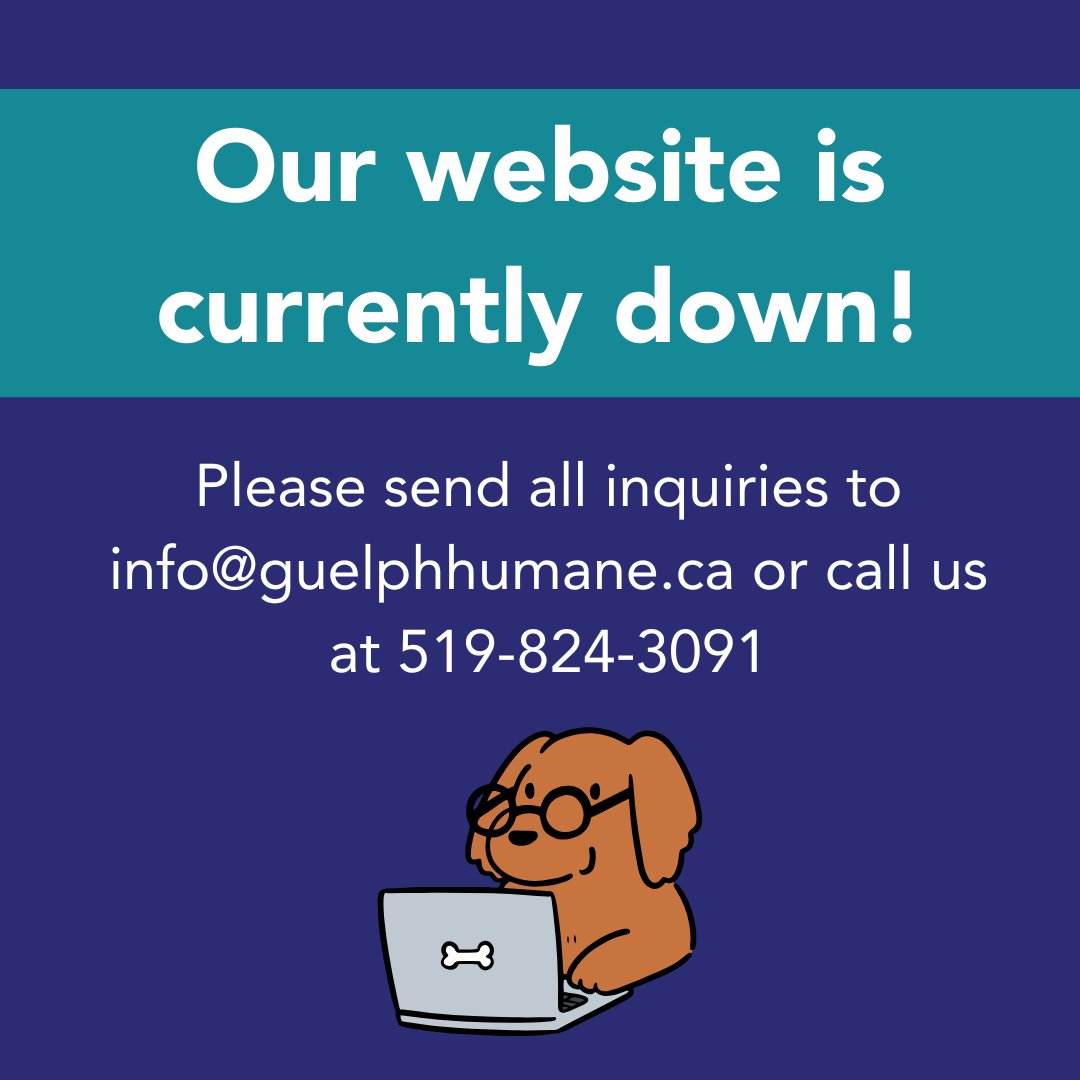 Guelph Humane Society tweet media