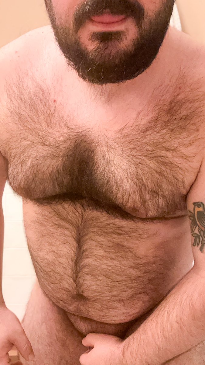 PocketBear tweet media