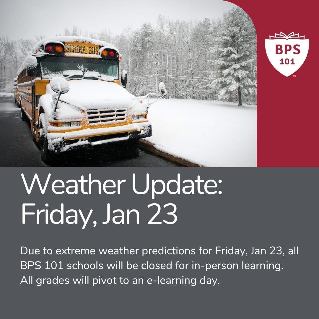 RotoloMS tweet media