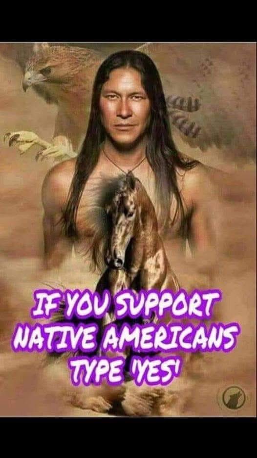 Native American tweet media