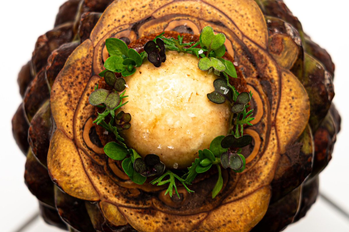 Hermanos Torres tweet media