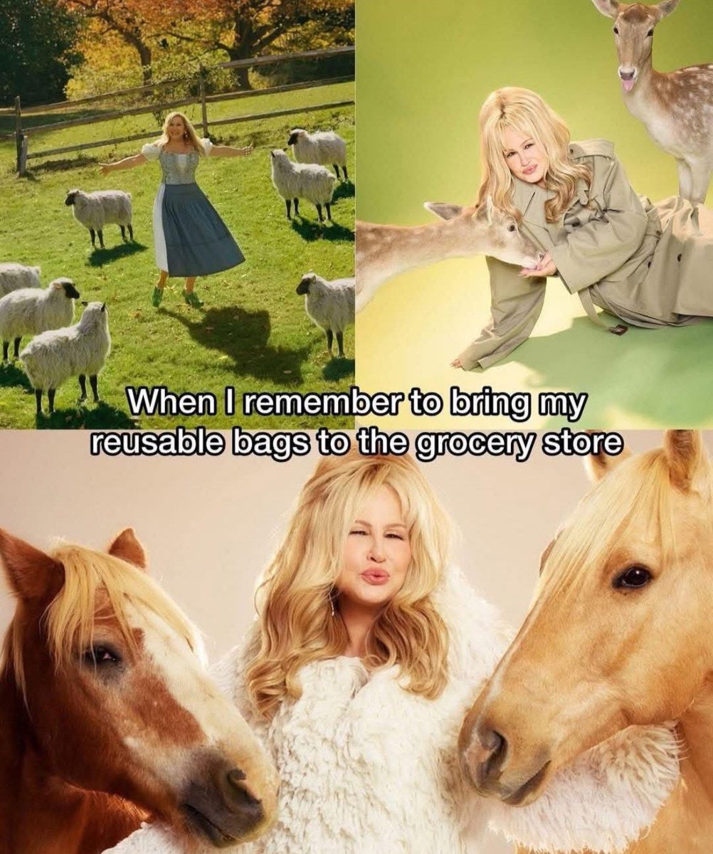 RespectfulMemes's tweet image. 