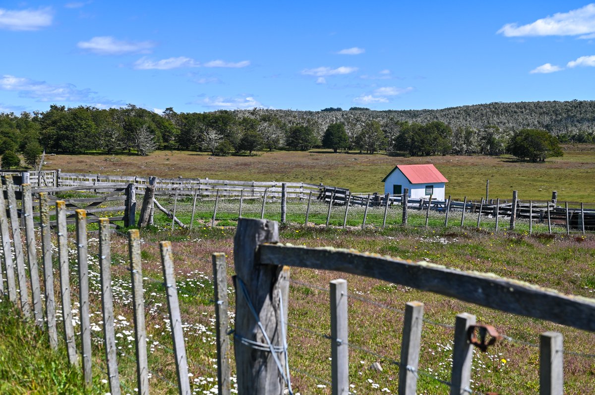 Tierra del Fuego - Fin del Mundo tweet media