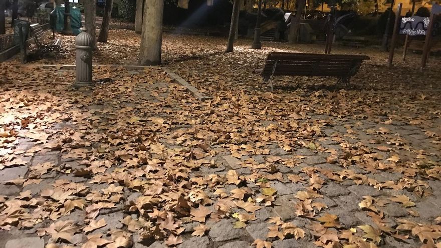 Las hojas secas,
la tarde fría,
oscuro el cielo,
melancolía.

#LYF15 #CajónRelatos