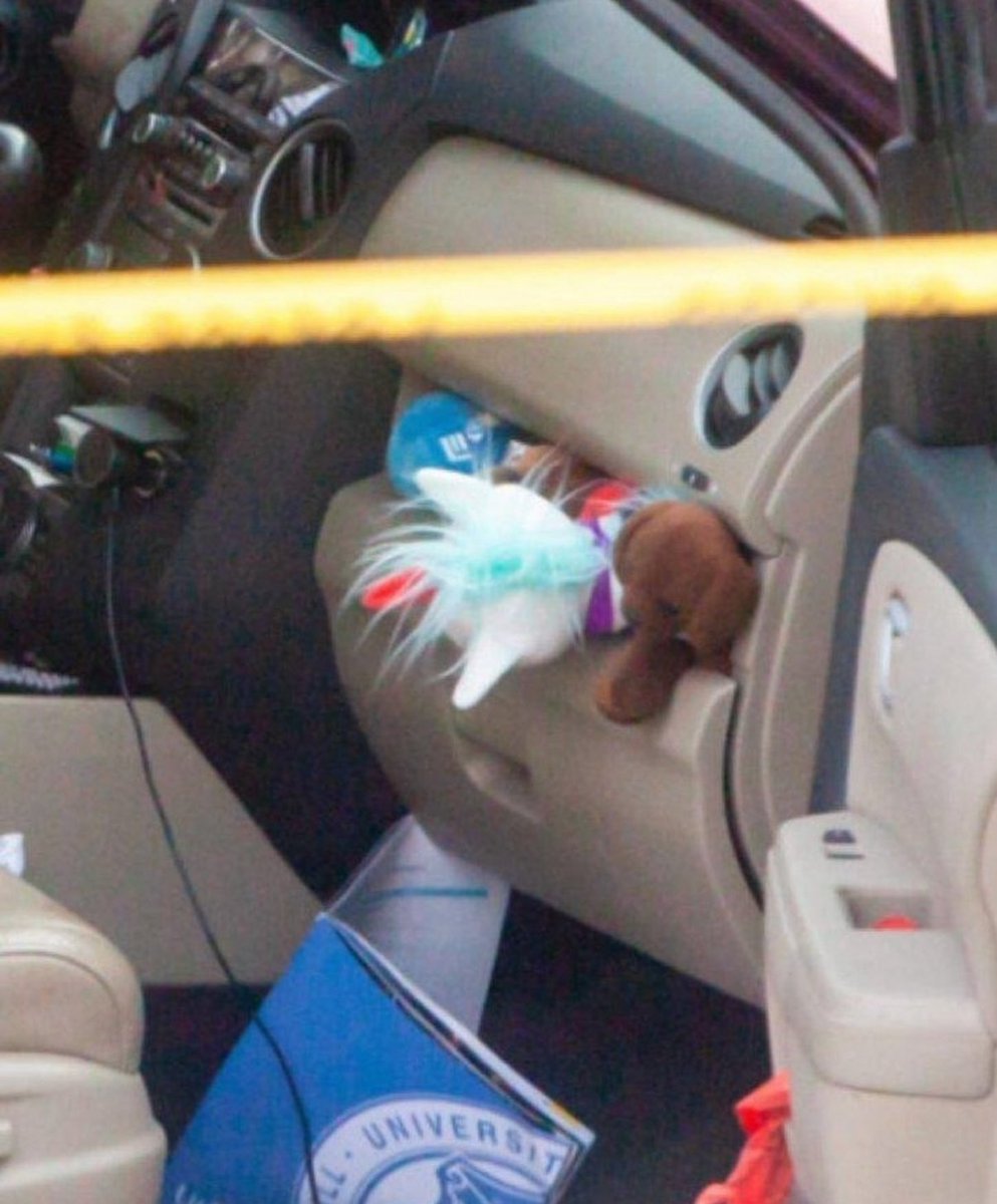 this is who ICE is bravely protecting you from