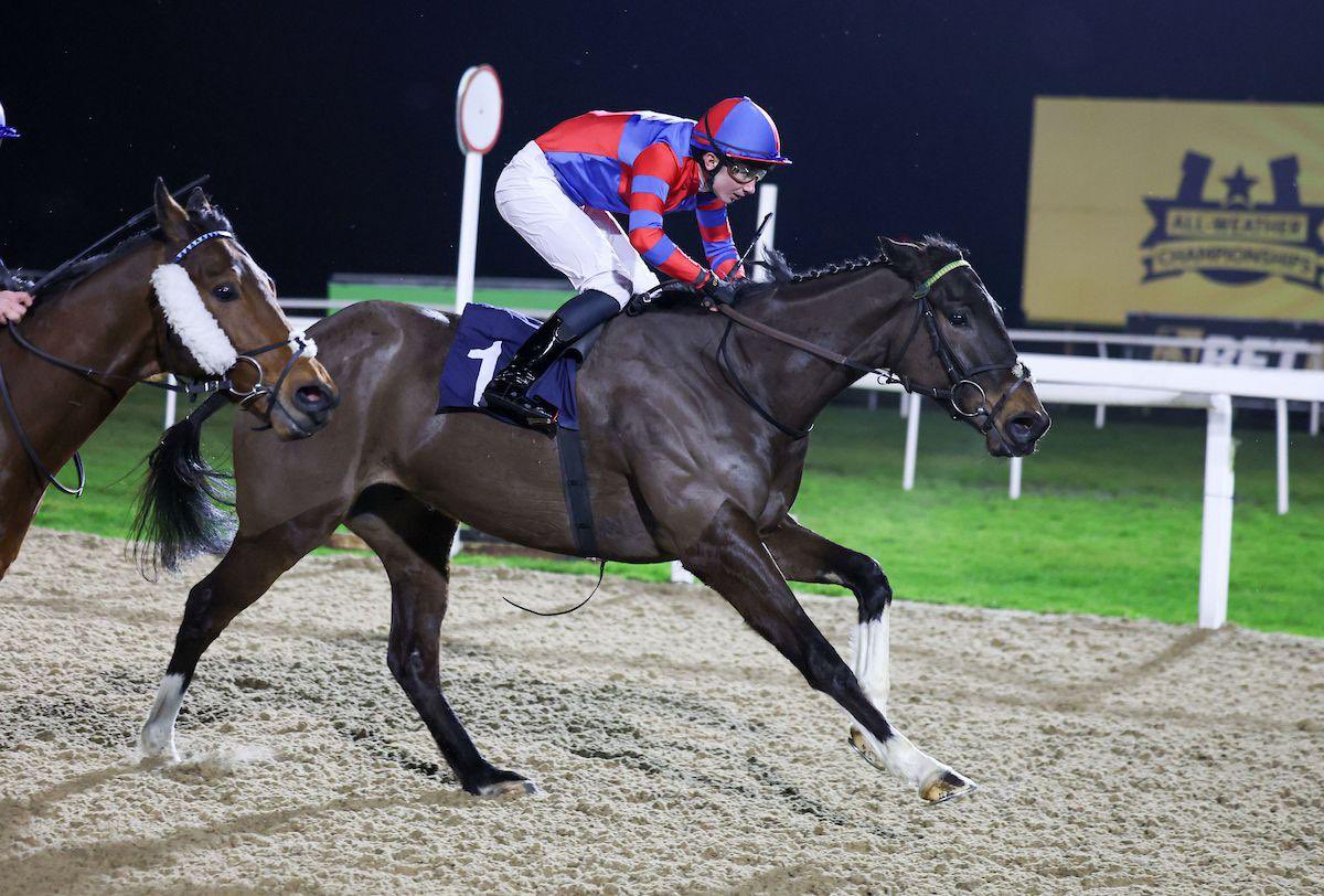 NatStudStallion's tweet photo. The Magnificent 7️⃣ for Aisling Oscar (𝐑𝐚𝐣𝐚𝐬𝐢𝐧𝐠𝐡𝐞) 

Unbeaten at Newcastle, he records his 7th victory in just 56 days for Adrian Paul Keatley and moves to the top of the Horse of the Year leaderboard for the ARC £1,000,000 All-Weather Bonus.

#NationalStud #Rajasinghe https://t.co/9HENfbTsyg