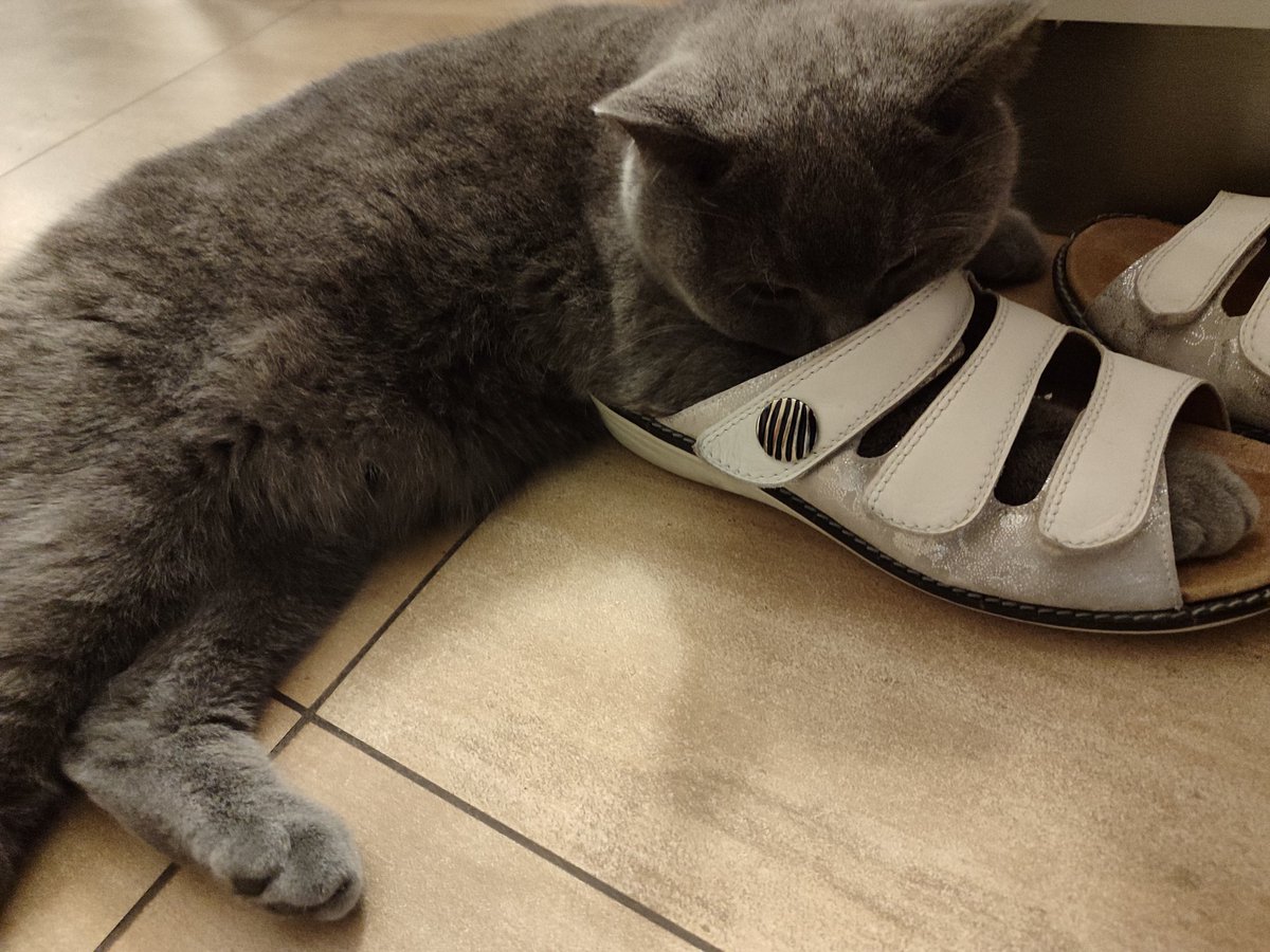 Betül Roxanne tweet media