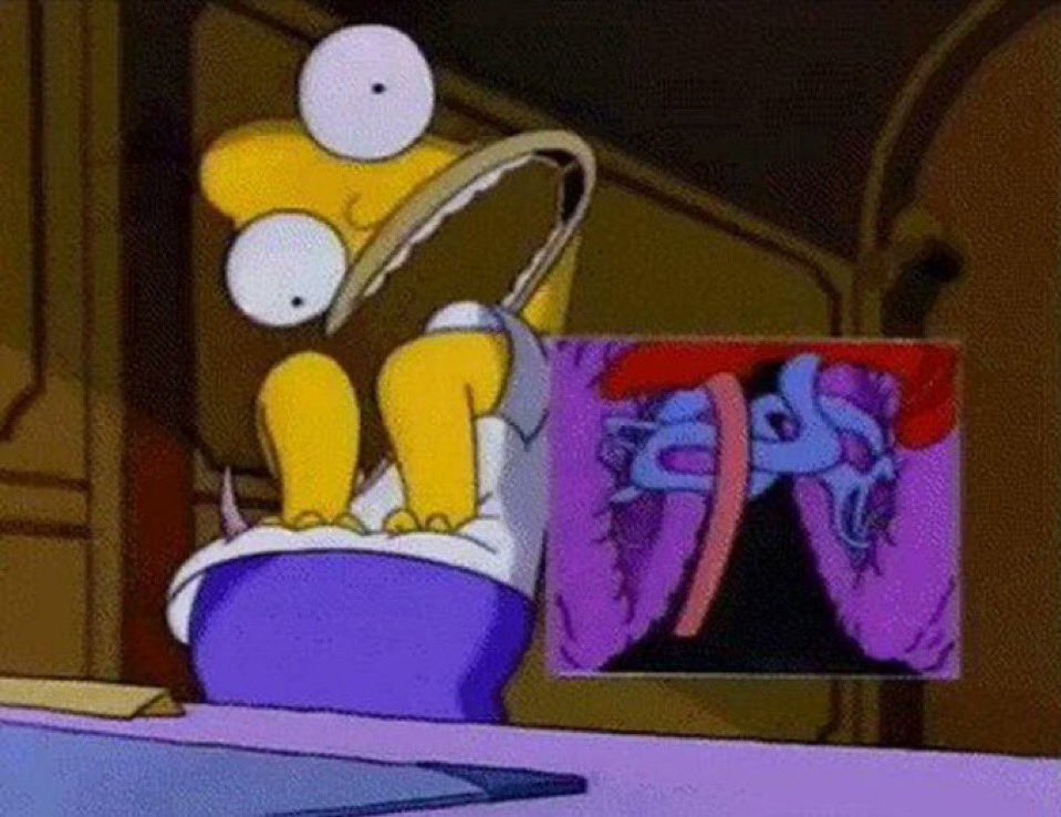 P🇵🇸 tweet media