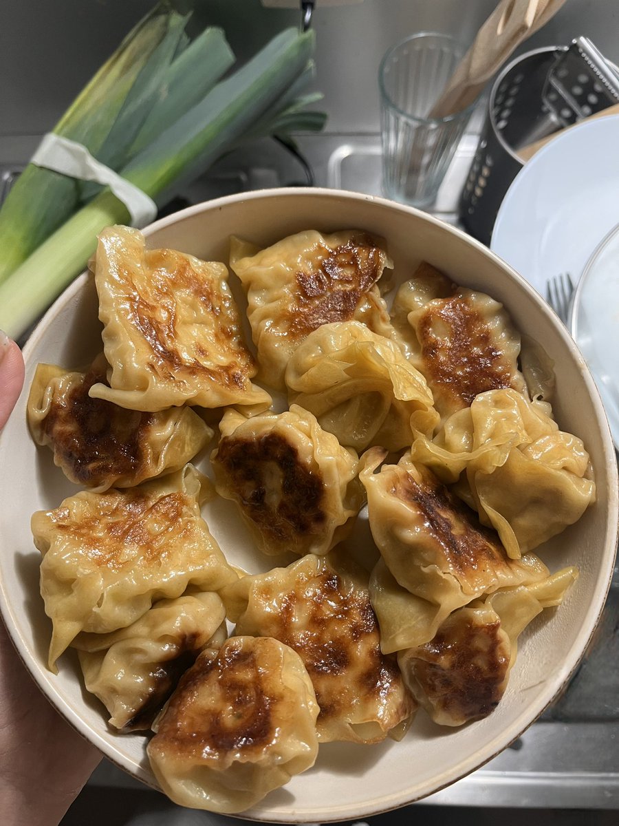 ATARAXlE's tweet image. g voulu essayer de faire des gyozas ils ont tlmt une sale gueule