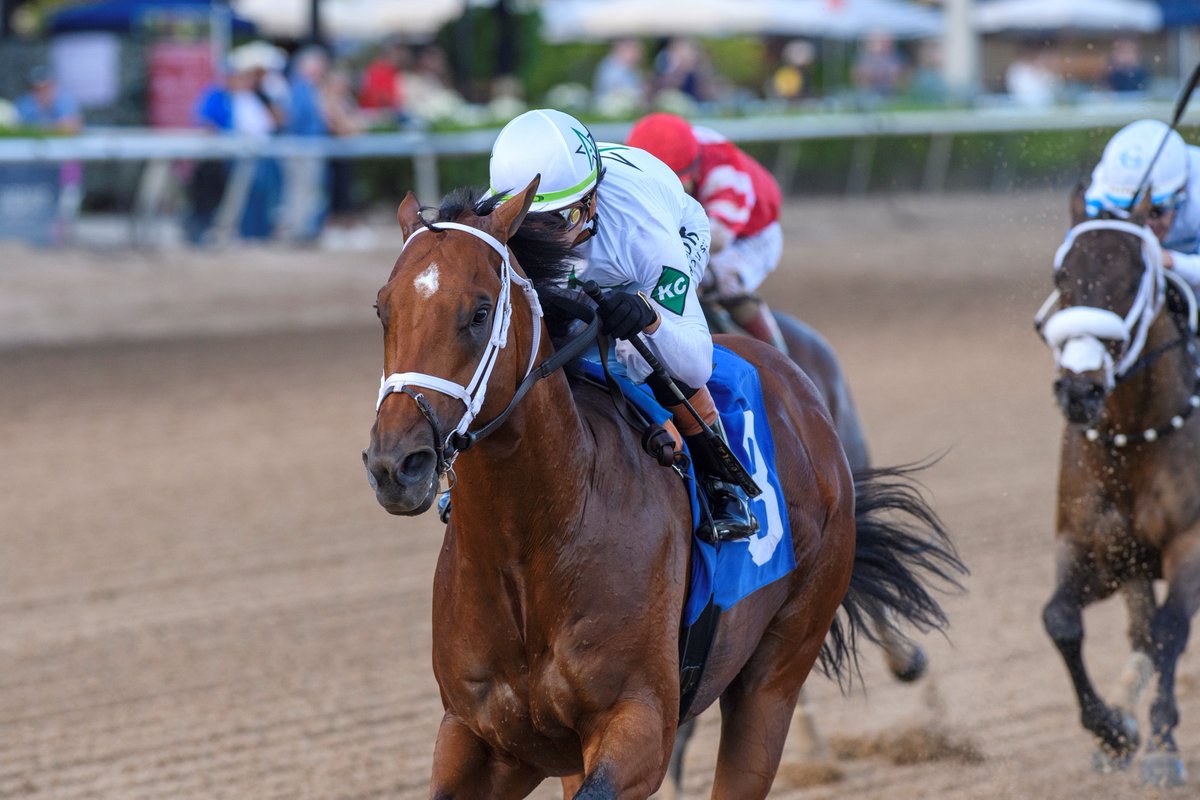 TwinSpires Racing 🏇 tweet media