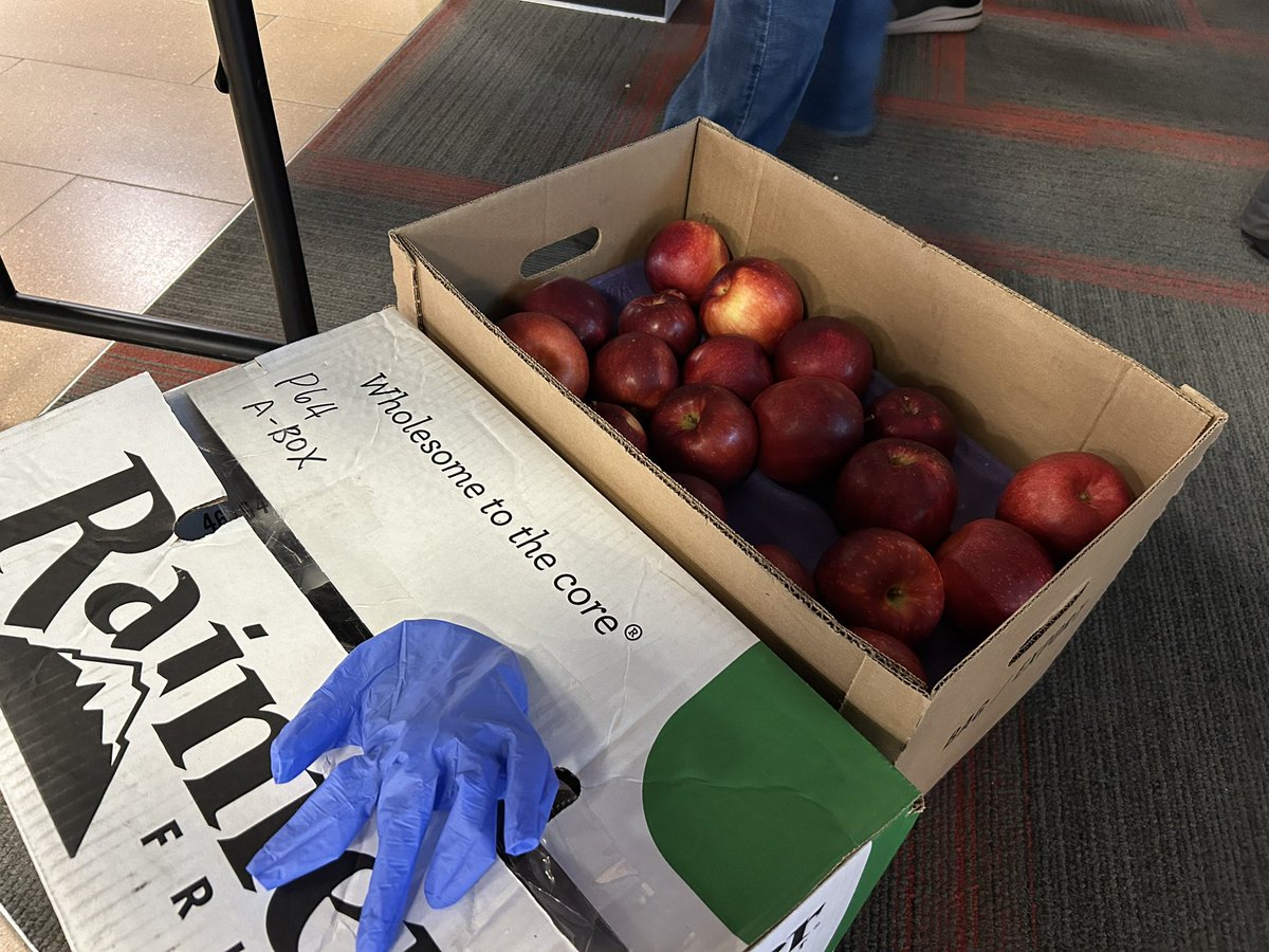 Madeleine Mullins tweet media