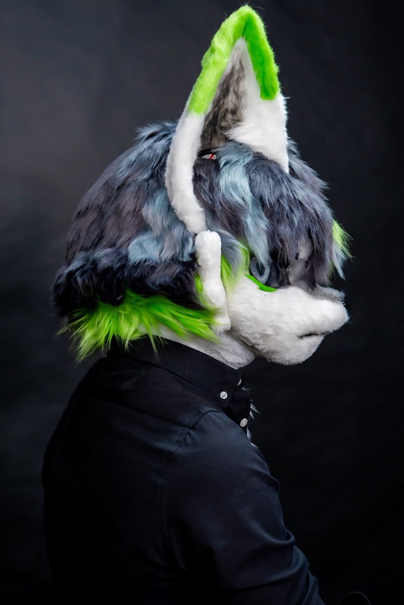 verde1556788's tweet photo. #FursuitFriday
#vermemory https://t.co/aQLeadVfPt