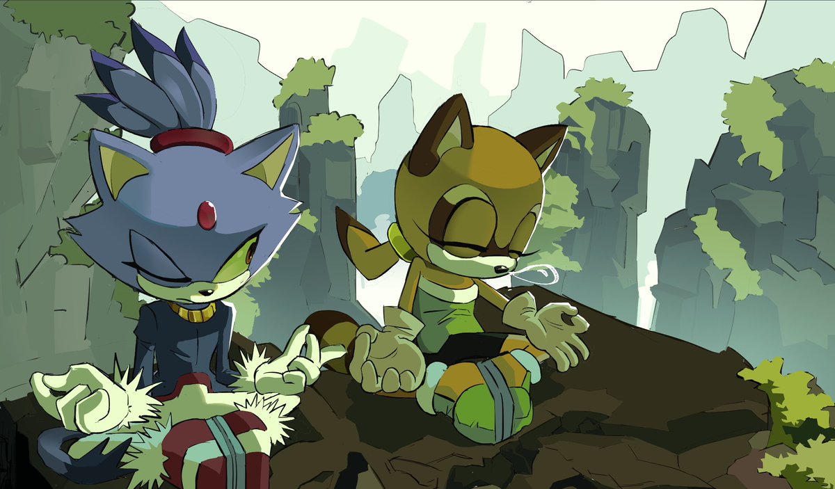 meditation is an important step of training