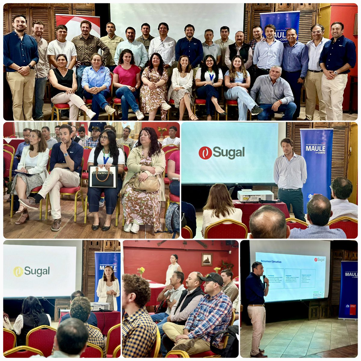 Corfo Maule tweet media