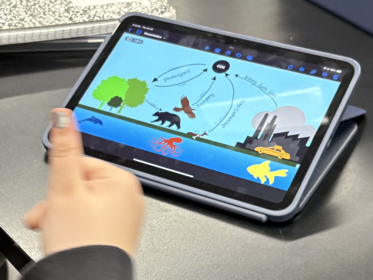 Brisa Cabe tweet media