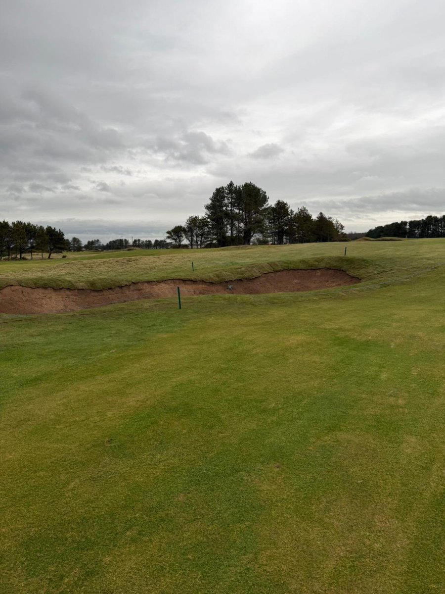 Barassie Links tweet media