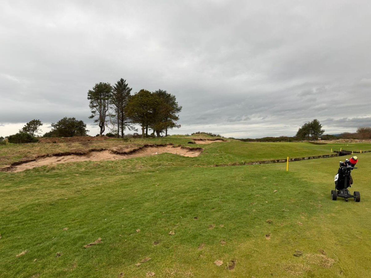 Barassie Links tweet media