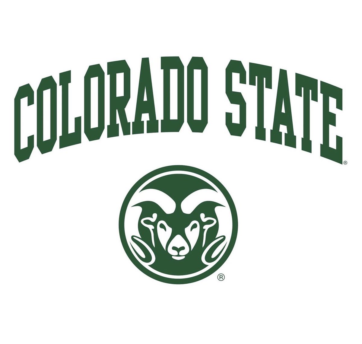 Gavin Davis tweet media