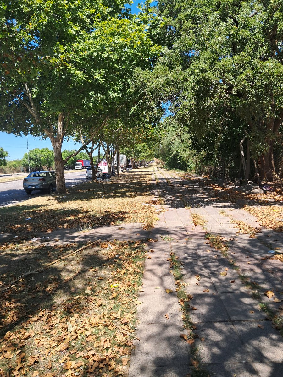 Este lugar nunca decepciona
